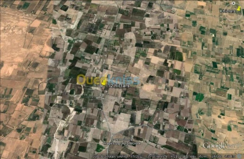 Vente Terrain Msila Msila