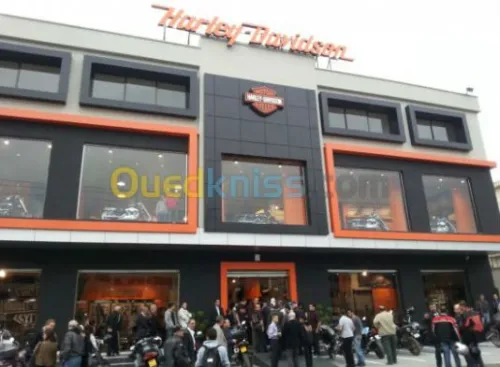 décoration et aménagement des surfaces