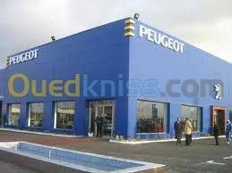 décoration et aménagement des surfaces