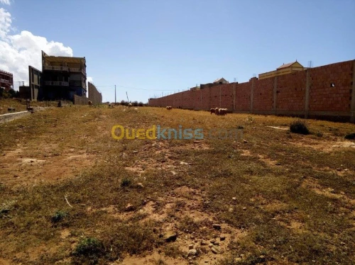 Vente Terrain Mostaganem Nekmaria ouled boughalem
