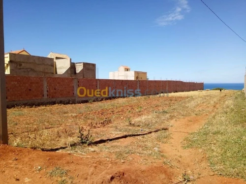 Vente Terrain Mostaganem Nekmaria ouled boughalem