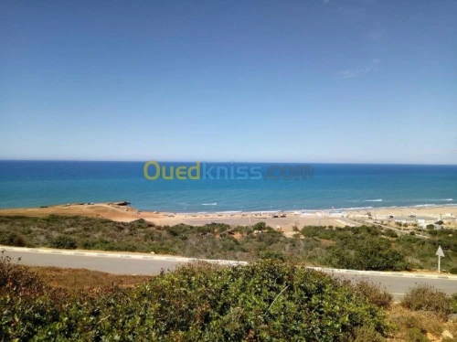 Vente Terrain Mostaganem Nekmaria ouled boughalem