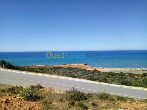 Vente Terrain Mostaganem Nekmaria ouled boughalem