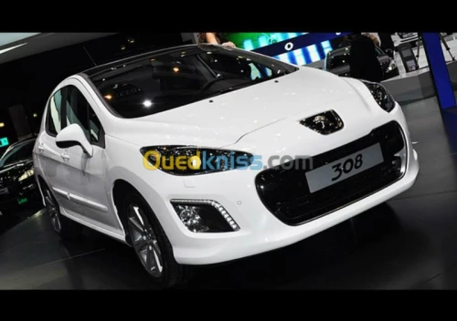 LOCATION AVEC CHEAUFFEUR 