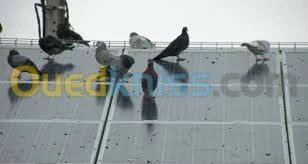 Entreprise de Nettoyage 