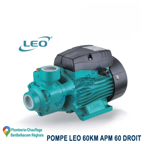 Pompe à eau et Cerveau LEO 