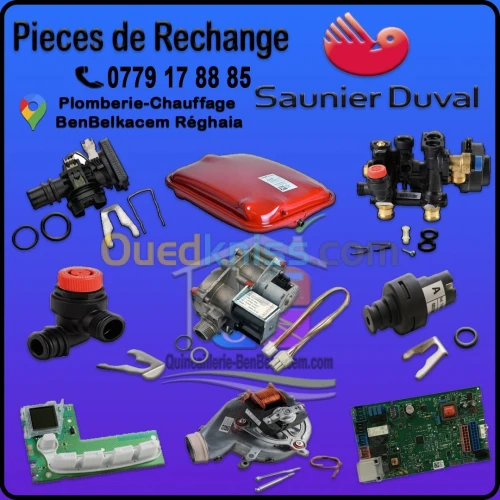Pièce rechange chaudièr Saunier Duval 