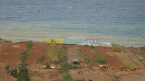 Vente Terrain Oran Ain el kerma