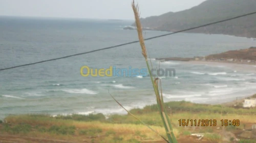 Vente Terrain Oran Ain el kerma