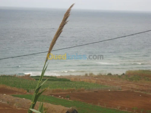 Vente Terrain Oran Ain el kerma
