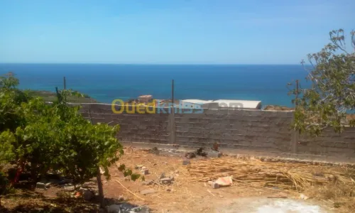 Vente Terrain Oran Ain el kerma
