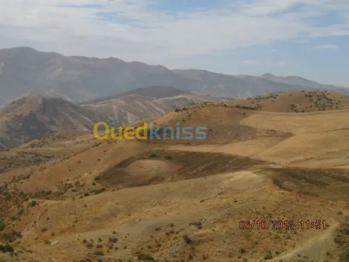Vente Terrain Oran Ain el kerma
