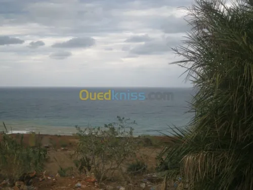 Vente Terrain Oran Ain el kerma