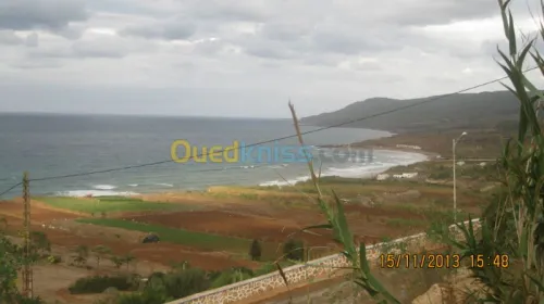 Vente Terrain Oran Ain el kerma