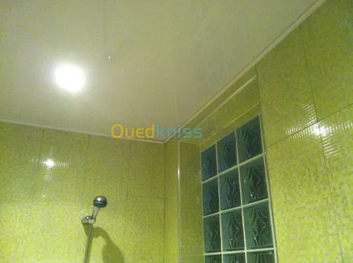 Rénov-intérieur BA13 plafond déco+Alum