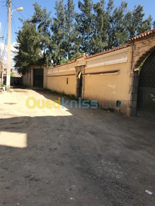 Vente Villa Blida Ouled selama