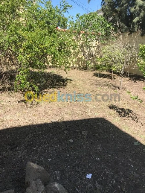 Vente Villa Blida Ouled selama