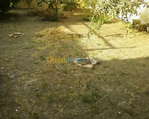 Vente Villa Blida Ouled selama