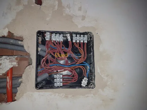 Electricité batiment ,garage ,jardin 