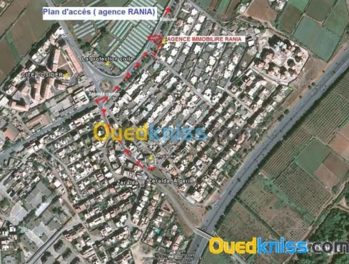 Location Niveau De Villa F3 Alger Zeralda