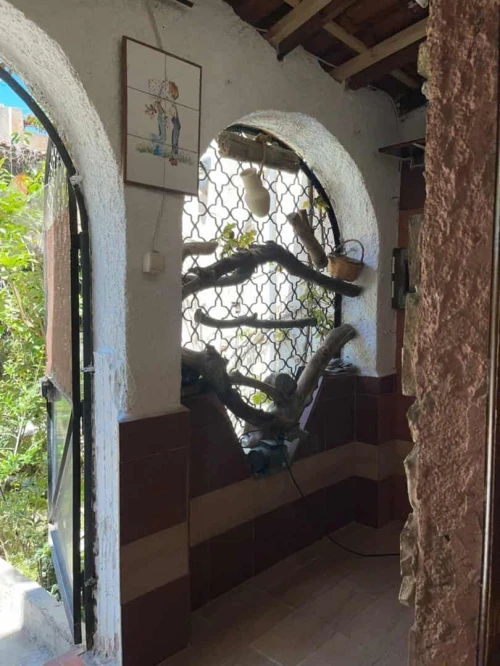 Vente Appartement F3 Béjaïa Bejaia