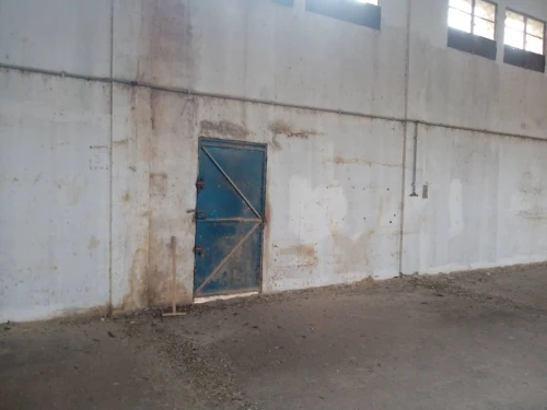 Location Hangar Bejaia Bejaia