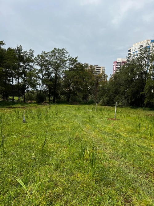 Vente Terrain Boumerdès Boumerdes 18