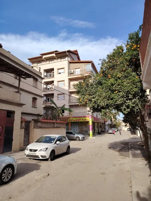 Vente Appartement F3 Boumerdès Corso