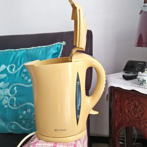Hachoir+ bras mixeur Moulinex+bouilloire CE
