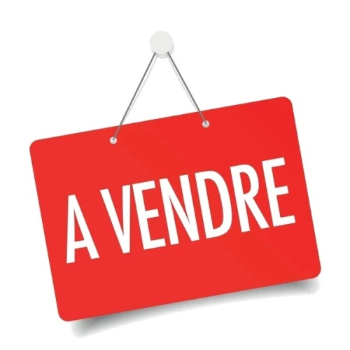 Vente Terrain El Tarf Ain el assel