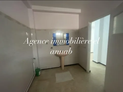 Location Appartement F3 Annaba Annaba