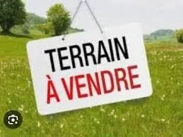Vente Terrain El Tarf Ben mehdi