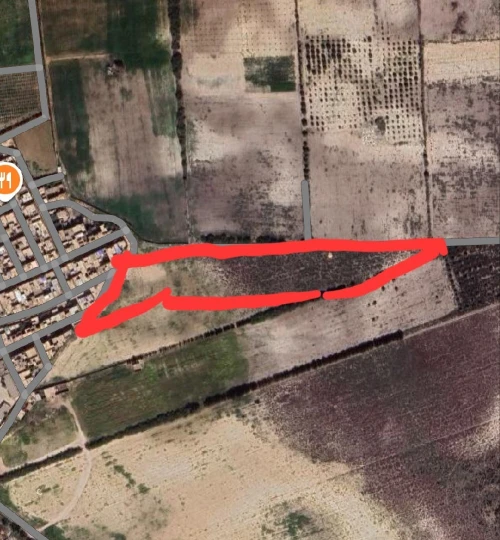Vente Terrain Oran Sidi chami