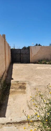 Location Local Mostaganem Mostaganem