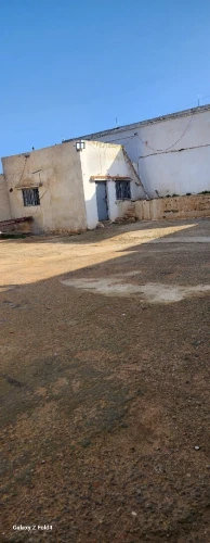 Location Local Mostaganem Mostaganem