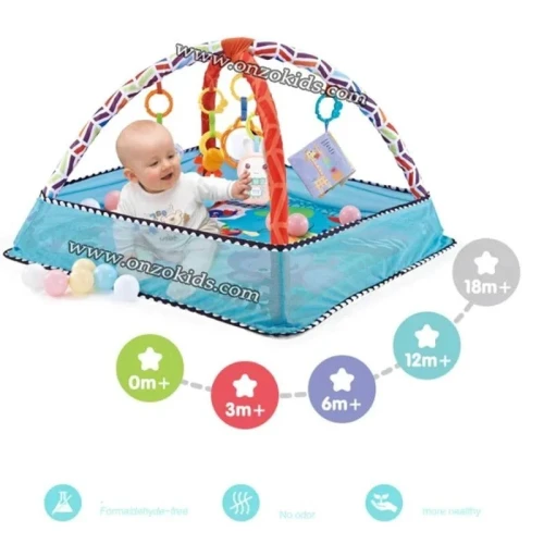 Tapis de jeu évolutif 3 en 1 avec 18 Balles colorées pour bébé