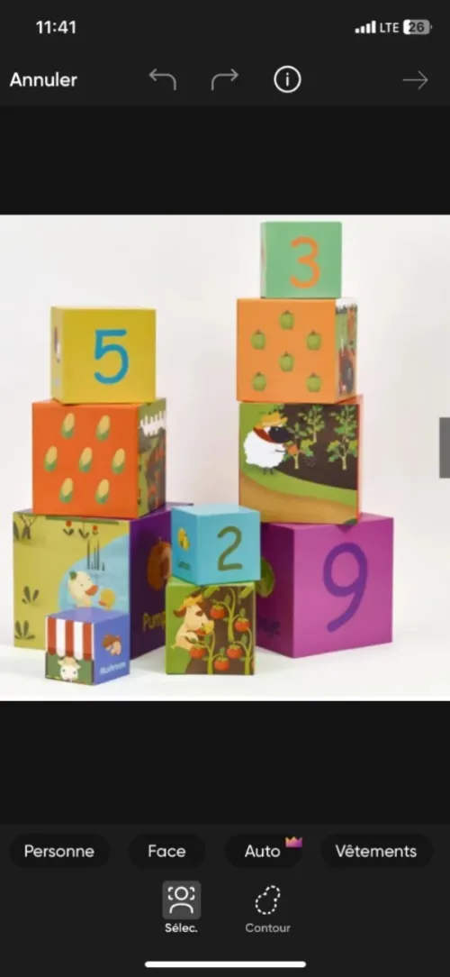 jeux éducatifs  10 cubes empilables de légumes, jouet pour enfants