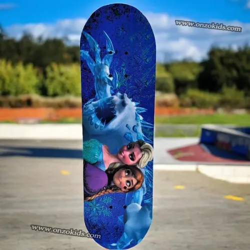 Skateboard, Planche de roulettes en bois pour adulte