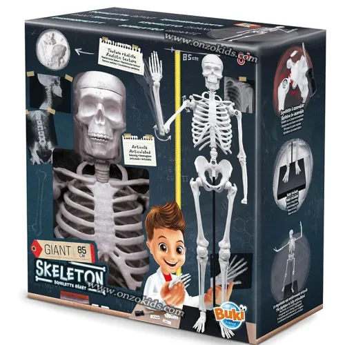 Squelette Géant 85cm-Buki