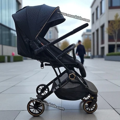 Poussette compacte réversible avec bras ajustable pour voyage-BaoBaohao