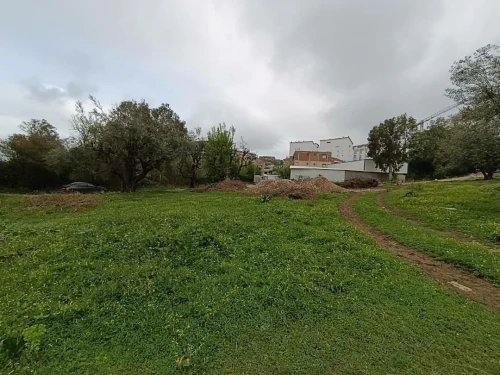 Vente Terrain Tizi Ouzou Mekla