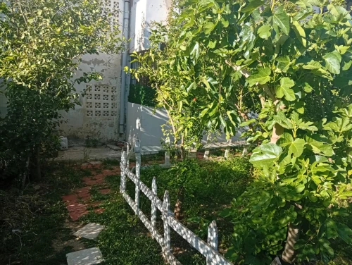 Vente Appartement F3 Alger Ain taya