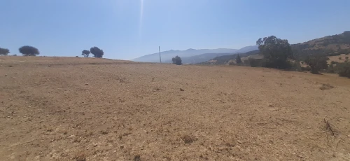 Vente Terrain Blida El affroun