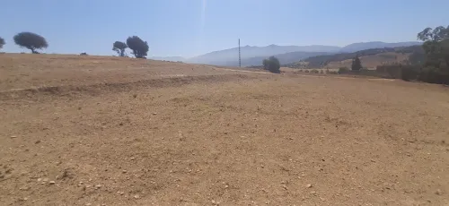 Vente Terrain Blida El affroun