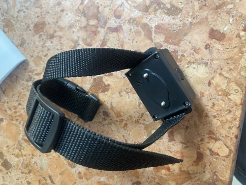 Collier de dressage électrique pour chien
