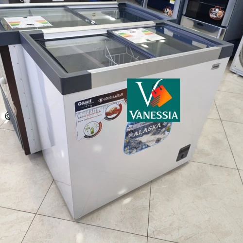 Congélateur Marque Géant Vitré 254L