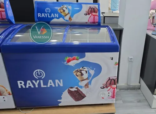 Congélateur Présentoir Marque Raylan 258L