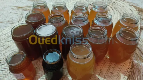 Miel de jujubier /Euphorbe/ Bruyère  pur et naturel 
