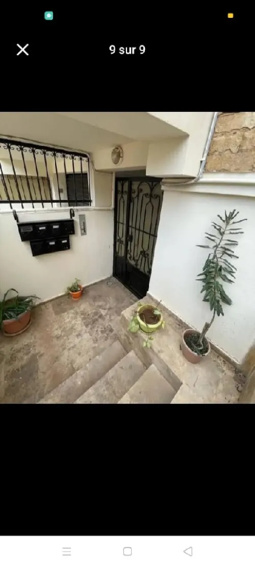Vente Appartement Duplex Alger Dely brahim