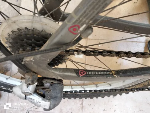 Vélo Bi Twin 